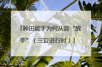 种田能手为何从容“放手”（三夏进行时）